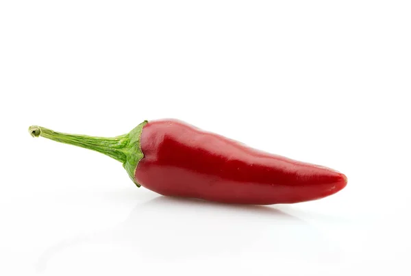 Röd Chili Paprika Eller Chili Kajennpeppar Nära Upp Isolerade Vit — Stockfoto