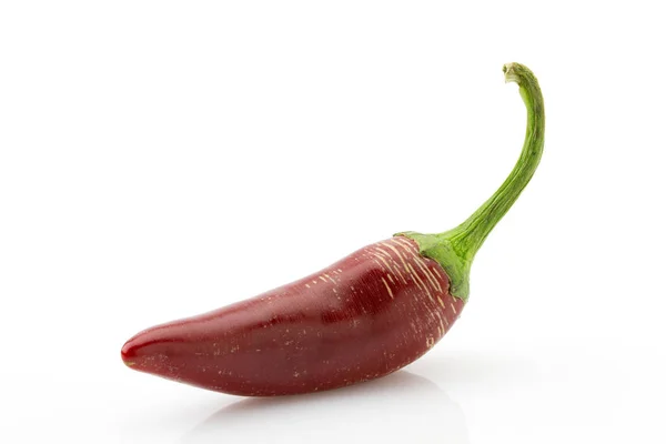 Röd Chili Paprika Eller Chili Kajennpeppar Nära Upp Isolerade Vit — Stockfoto