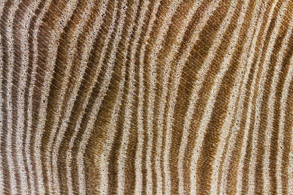 Ahşap doku portre. Arka plan görüntüsü belirgin bir doku ile.