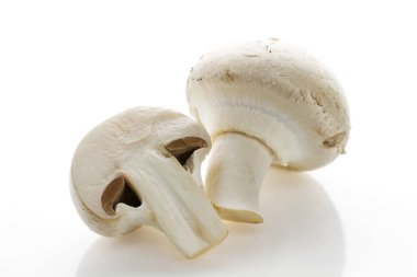 Beyaz arka plan yakın çekim üzerinde beyaz champignon mantar