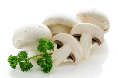 Beyaz arka plan yakın çekim üzerinde beyaz champignon mantar