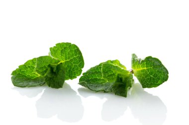 Yakın aromatik ve taze nane yaprakları