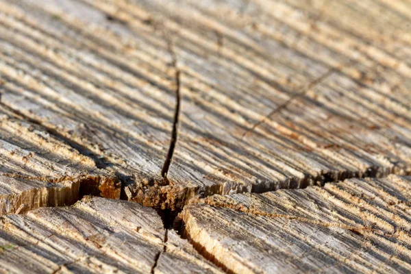 De textuur van het hout met scheuren. — Stockfoto