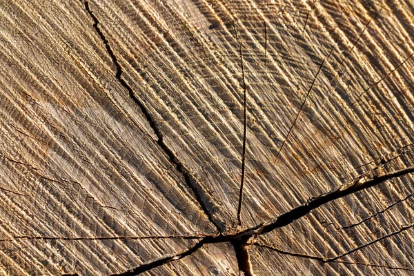 De textuur van het hout met scheuren. — Stockfoto