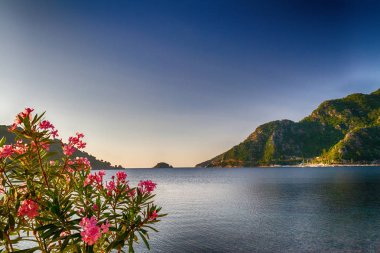 Parlak çiçekler, deniz, dağlar ve mavi gökyüzü. Yazın Marmaris'in güzel manzaraları