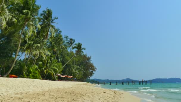 Tropikalnej Plaży Palmami Fale Niebieski Ocean — Wideo stockowe