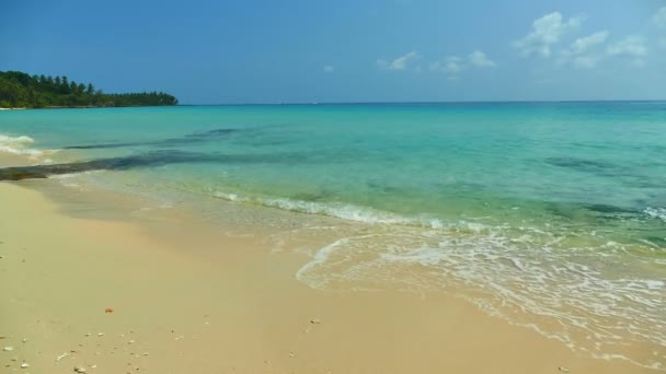 Pintoresco Puerto Deportivo Con Olas Marinas Playa Arena Cielo Azul — Vídeo de stock