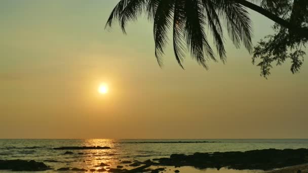 Sonnenuntergang Mit Meereswellen Palmen Und Dramatischem Himmel — Stockvideo