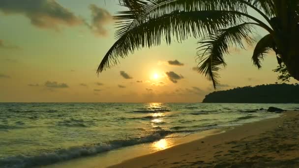 Vista Tramonto Onde Marine Palme Cielo Drammatico — Video Stock