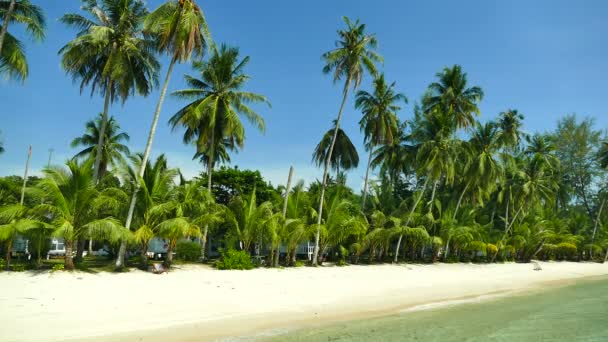 Tropikalnej Plaży Palmami Fale Niebieski Ocean — Wideo stockowe