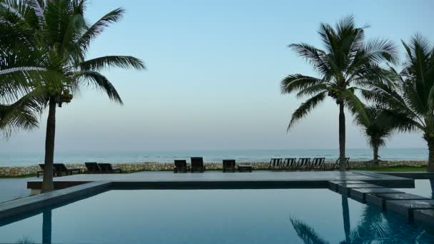 Piscina Con Palmeras Complejo — Vídeos de Stock