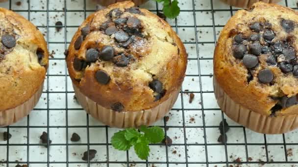 Délicieux Muffins Maison Avec Des Gouttes Chocolat — Video