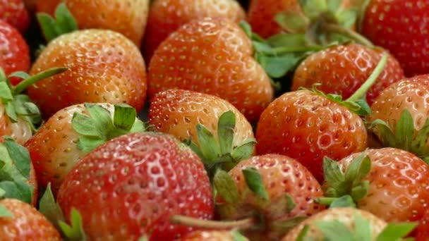 Haufen Frischer Erdbeeren Lebensmittel Hintergrund Video — Stockvideo