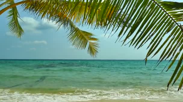 海の波と砂浜と青空と絵のように美しいマリーナ — ストック動画