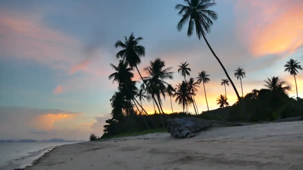 coucher de soleil sur les vagues de mer, les palmiers et le ciel spectaculaire 