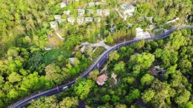 yeşil ağaçların üzerinden yolu boyunca sürüş araba havadan görünümü