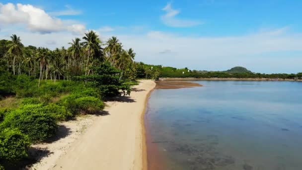 vue aérienne imprenable sur la mer et les palmiers tropicaux poussant le long de la plage de sable  