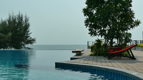 游泳池 贵妃休息室和郁郁葱葱的热带植被景观 — 图库视频影像
