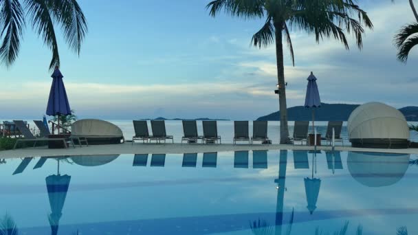 vue sur piscine, parasols, palmiers et ciel bleu 