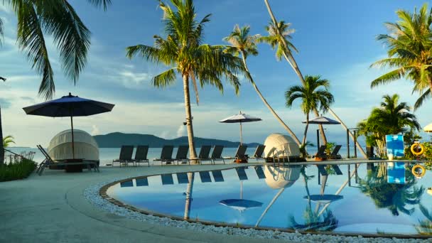 View Swimming Pool Beach Umbrellas Palm Trees Blue Sky — Stock Video