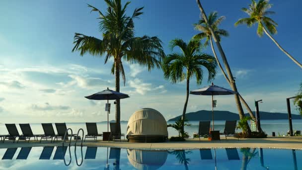 vue sur piscine, parasols, palmiers et ciel bleu 