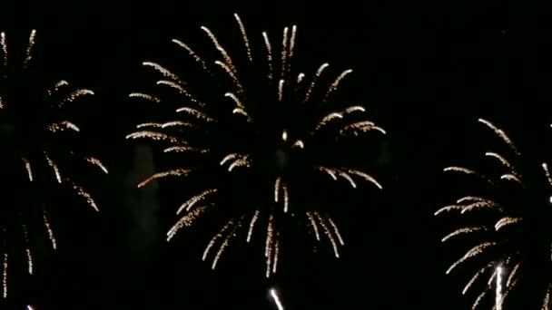 Video Von Goldenem Feuerwerk Das Trüben Nachthimmel Glüht — Stockvideo