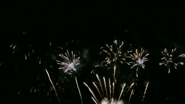 Video Fuochi Artificio Dorati Che Brillano Nel Cielo Notturno Drak — Video Stock