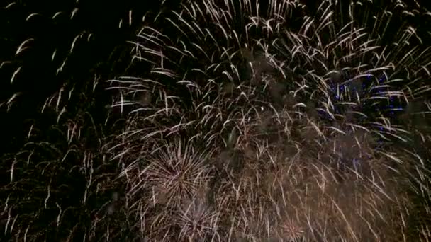 Video Golden Fireworks Glowing Drak Night Sky — Stock Video