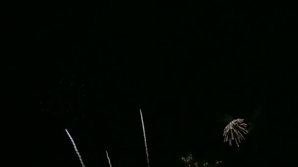 Video Van Gouden Vuurwerk Gloeien Drak Nacht Hemel — Stockvideo