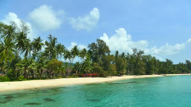 Tropikalnej Plaży Palmami Fale Niebieski Ocean — Wideo stockowe