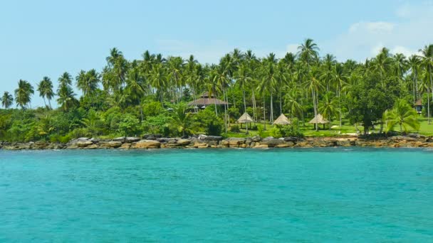 Tropikalnej Plaży Palmami Fale Niebieski Ocean — Wideo stockowe