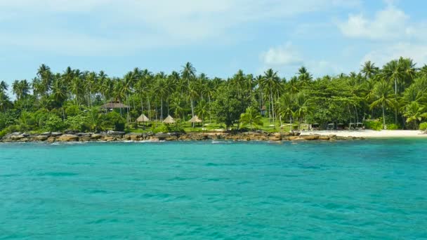 Tropischer Strand Mit Palmen Und Blauen Meereswellen — Stockvideo