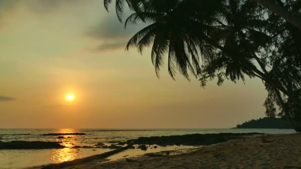 Sunset View Sea Waves Sandy Beach Dramatic Sky — Stock Video