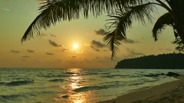 Sonnenuntergang Mit Meereswellen Palmen Und Dramatischem Himmel — Stockvideo