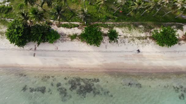 Amazing Aerial View Sea Tropical Resort Sunny Day — Stock Video