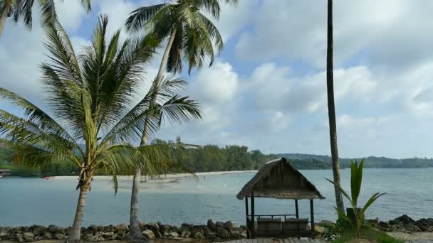 热带海滩 有棕榈树和蓝天 — 图库视频影像