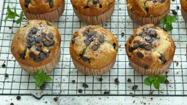 Délicieux Muffins Faits Maison Avec Des Gouttes Chocolat Sur Grille — Video