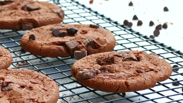 Deliziosi Biscotti Fatti Casa Con Gocce Cioccolato Sulla Griglia Metallica — Video Stock