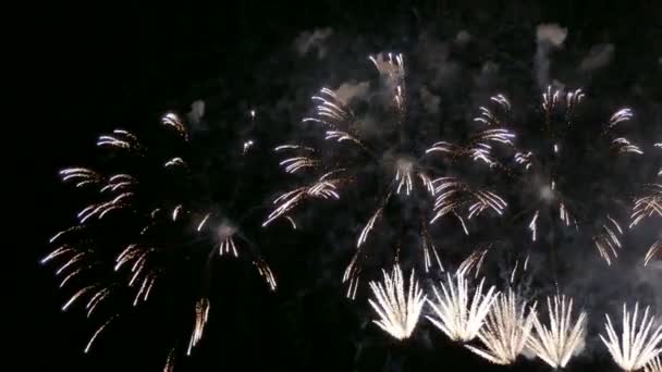 Video Fireworks Glowing Drak Night Sky — Stock Video