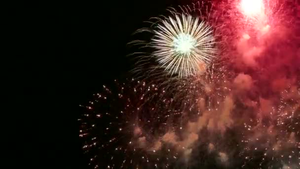 Videó Tűzijáték Drak Éjszakai Égen Ragyogó — Stock videók