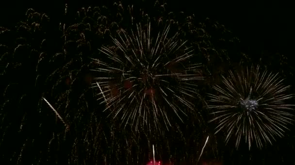 Vidéo Feux Artifice Lumineux Dans Ciel Nocturne Drak — Video