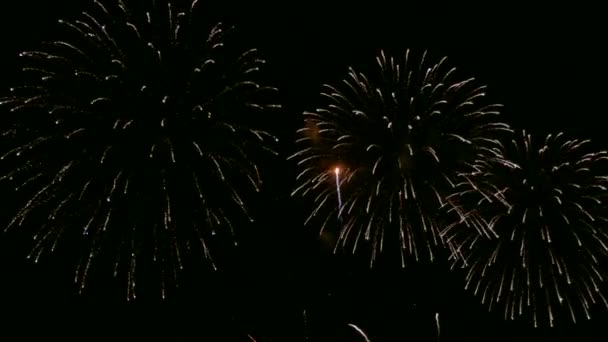 Video Fireworks Glowing Drak Night Sky — Stock Video