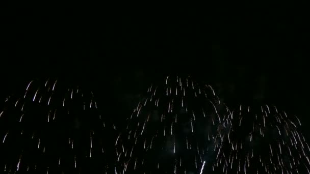 Vídeo Fuegos Artificiales Brillando Cielo Nocturno Borracho — Vídeos de Stock