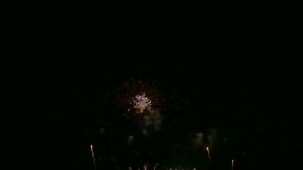 Vídeo Fuegos Artificiales Brillando Cielo Nocturno Borracho — Vídeos de Stock