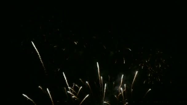 Video Fuochi Artificio Che Brillano Nel Cielo Notturno Drak — Video Stock