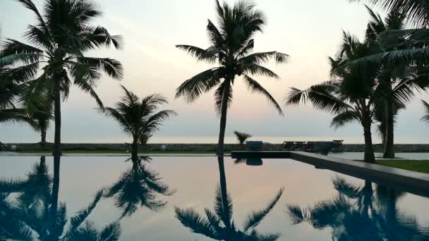 Coucher Soleil Sur Piscine Avec Palmiers — Video