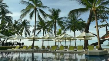 Yüzme havuzu manzarası, plaj şemsiyeleri, palmiye ağaçları ve mavi gökyüzü.