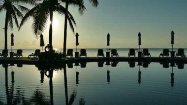 Yüzme havuzu manzarası, plaj şemsiyeleri, palmiye ağaçları ve mavi gökyüzü.