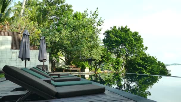 vue sur piscine, parasols, palmiers et ciel bleu 