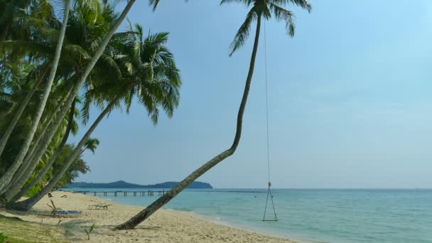 Tropical Beach Palm Trees Blue Ocean Waves — Stock Video